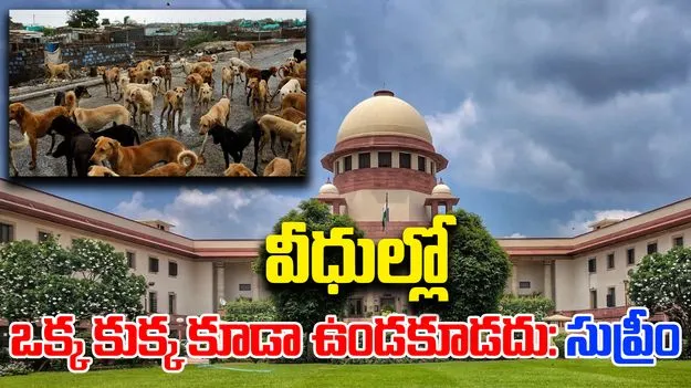 Stray Dogs : ఢిల్లీ వీధుల్లో ఒక్క కుక్క కూడా ఉండకూడదన్న సుప్రీంకోర్టు