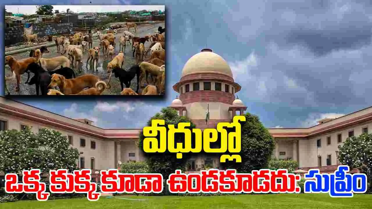 Stray Dogs : ఢిల్లీ వీధుల్లో ఒక్క కుక్క కూడా ఉండకూడదన్న సుప్రీంకోర్టు