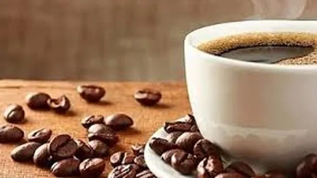 Coffee Exports: సీసీఎల్‌ ప్రొడక్ట్స్‌ లాభం రూ.72 కోట్లు 