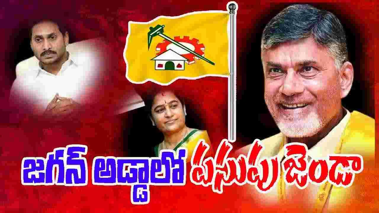 TDP Flags Victory: జగన్‌ కోటపై టీడీపీ జెండా