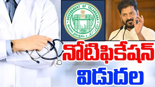 Telangana Health Department Notification: గుడ్ న్యూస్.. ఆ శాఖలో పోస్టుల భర్తీకి నోటిఫికేషన్ విడుదల