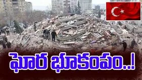 Earthquake In Turkey: టర్కీని వణికించిన భూకంపం.. పలు భవనాలు నేలమట్టం..