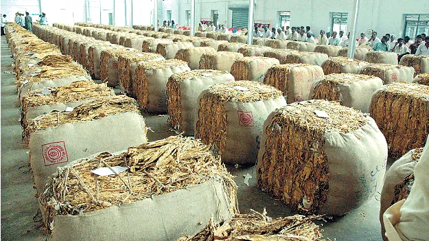 ధర తగ్గించినా ఆగని నోబిడ్లు