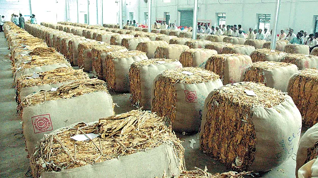 వెనక్కి పంపినవే అధికం