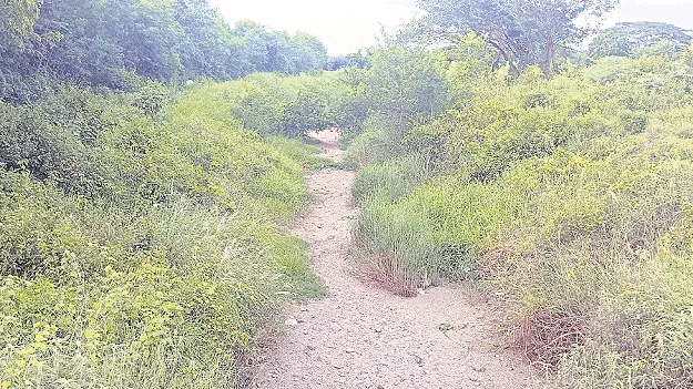 ఆధునికీకరణకు ఆటంకం