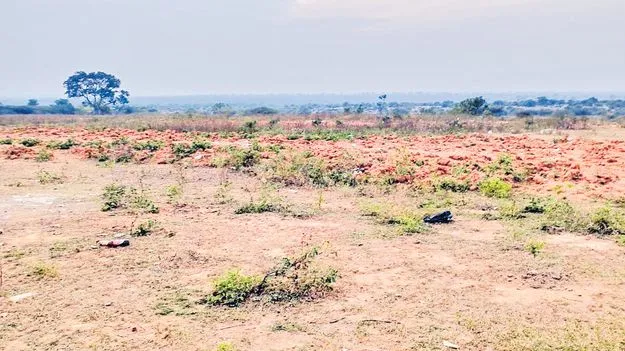 Revenue Department: భూములిక లీజుకే