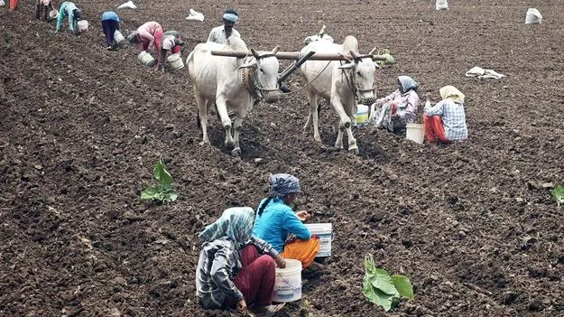 Director of Agriculture: 20 వరకు అన్నదాత సుఖీభవ గ్రీవెన్స్‌ స్వీకరణ
