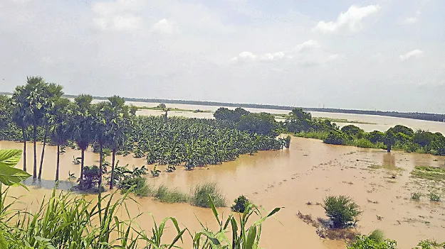 ఉరకలేస్తోంది