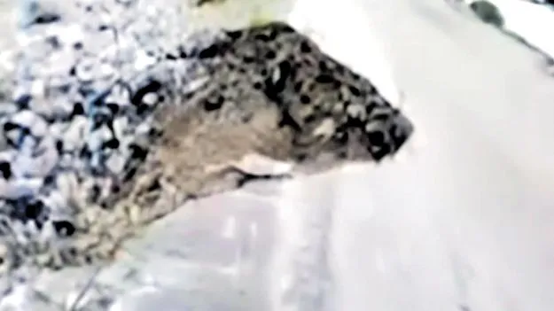 Construction Flaws: జగన్‌ సర్కారు పుణ్యమే