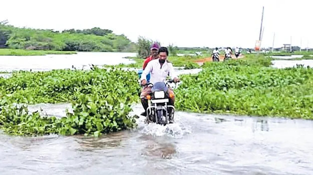 Kolleru Lake Floods: లంక గ్రామాలు బిక్కుబిక్కు