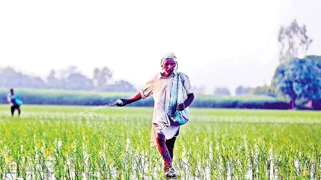Fertilizer Supply Crisis: యూరియా.. సమస్య ఎందుకయా