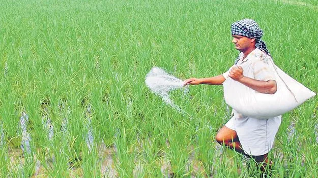 AP Govt: యూరియా కొరతపై ప్రభుత్వం దృష్టి