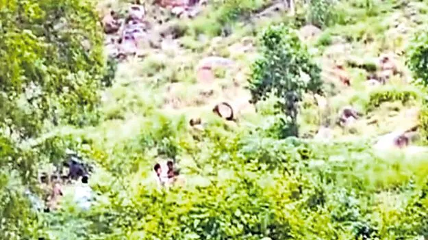 Kadiri Rural Police: అడవిలో అంతర్రాష్ట్ర దొంగల ముఠా