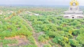 Amaravati Real Estate: ఏవీ నాటి కళకళలు