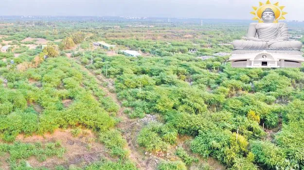 Amaravati Real Estate: ఏవీ నాటి కళకళలు