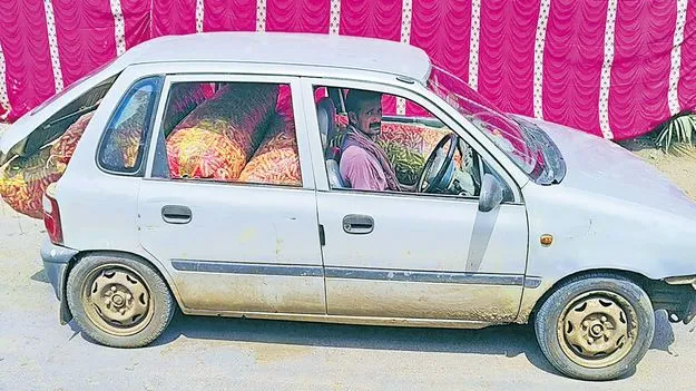 Tadepalligudem: దొండ కారు