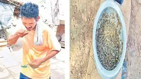 Seethampeta: చీమలతో పసందైన విందు