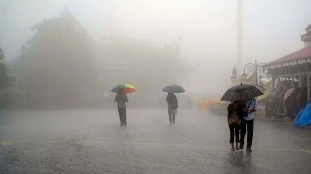 Rain Alert:  భారీ వర్ష సూచన.. అలర్ట్ అయిన అధికారులు