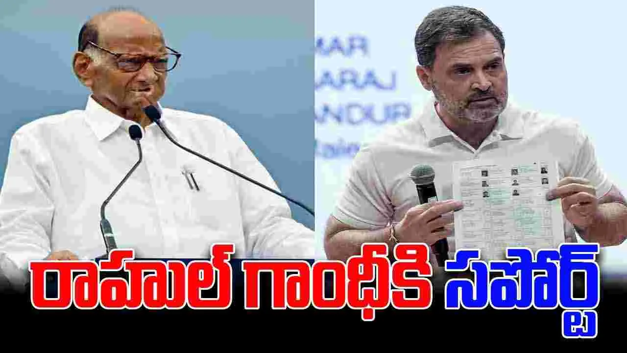 Sharad Pawar: రాహుల్ గాంధీకి మద్దతుగా శరద్ పవార్.. ఓట్ల చోరీపై ఈసీ సమీక్షించాలని సూచన