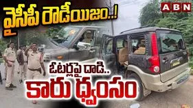 YSRCP Attacked TDP Activists: రెచ్చిపోయిన వైసీపీ మూకలు.. ఓటు వేయడానికి వెళ్తున్న వారిపై దాడి..