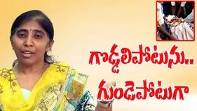 YS Sunitha: గొడ్డలిపోటును.. గుండెపోటుగా నమ్మించారు.. వైఎస్ సునీత సంచలన వ్యాఖ్యలు