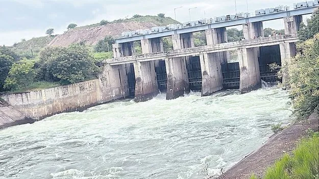 ఆశల సాగు..