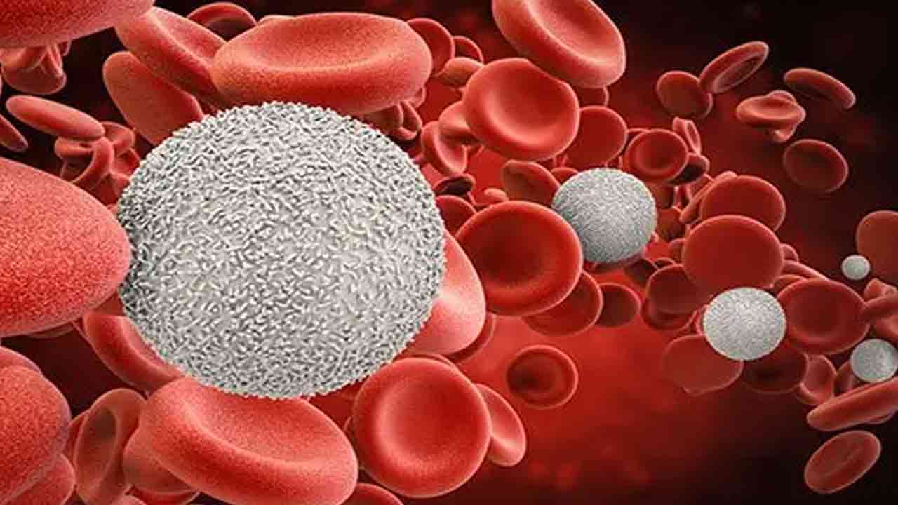 Health Tips: వరుసగా రెండు వారాల పాటు మెంతులు తింటే.. జరిగేది ఇదే.. 