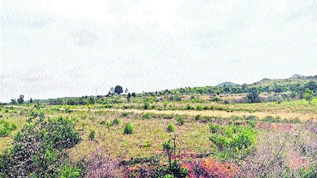 Anantapur: రాబందులు వచ్చేశాయ్‌...