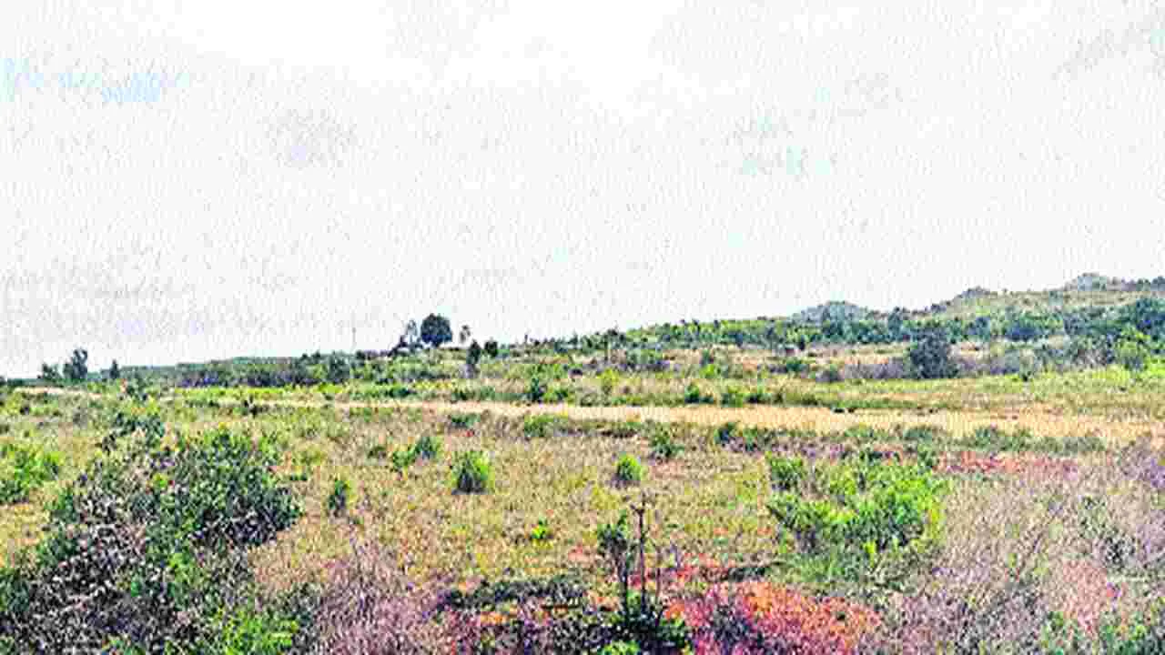 Anantapur: రాబందులు వచ్చేశాయ్‌...