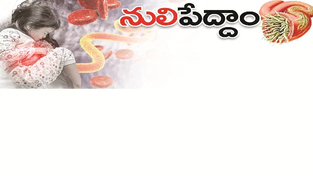 kumaram bheem asifabad- నులిపేద్దాం
