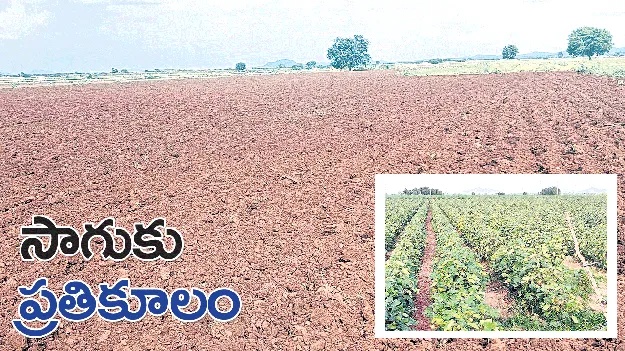 సాగుకు ప్రతికూలం