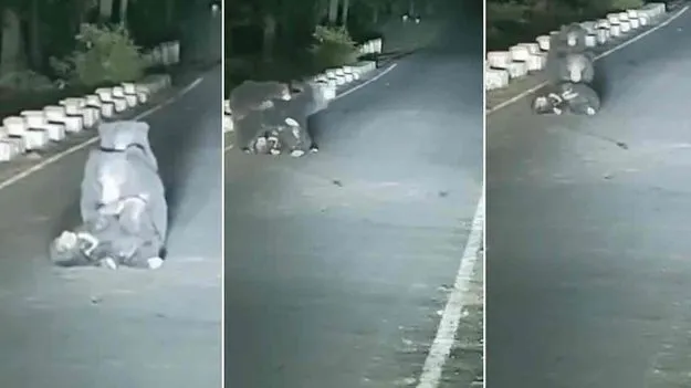 Mother Bears Emotional Struggle: ఏ తల్లికి ఇలాంటి కష్టం రాకూడదు.. కంటతడి పెట్టిస్తున్న వీడియో