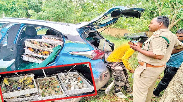 కోల్‌కతా టు తమిళనాడు