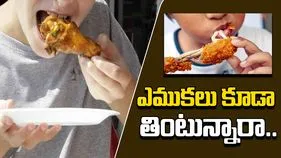 Health Tips: చికెన్‌‌తో పాటూ ఎముకలు కూడా తింటున్నారా.. అయితే ఈ విషయాలు తప్పక తెలుసుకోవాల్సిందే.. 