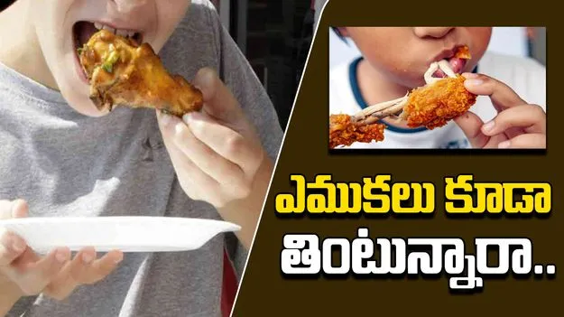 Health Tips: చికెన్‌‌తో పాటూ ఎముకలు కూడా తింటున్నారా.. అయితే ఈ విషయాలు తప్పక తెలుసుకోవాల్సిందే.. 
