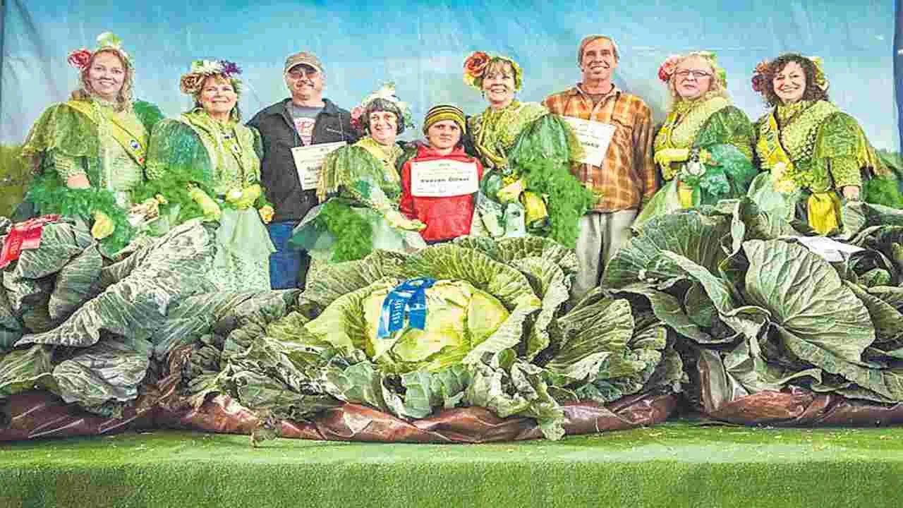 బొమ్మలు కాదు... కూరగాయలే...