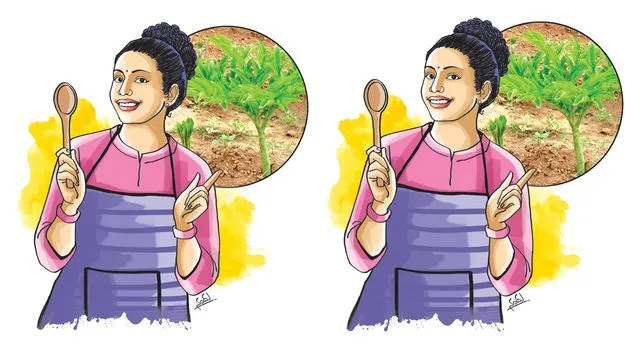 Ayurvedic Herbs: గడ్డల్ని కరిగించే కంద ఆకులు