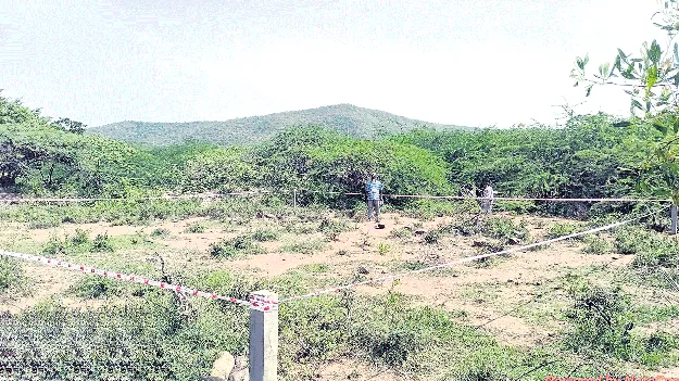 నల్లమలలో నెట్‌వర్క్‌