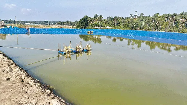 Aqwa: సాగు.. ‘చేప’ట్టేదెలా?