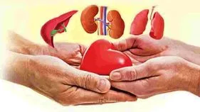 Hyderabad: తాను చనిపోతూ.. మరో ఏడుగురికి ప్రాణదానం 