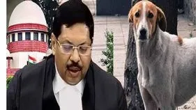 CJI : వీధి కుక్కలపై సుప్రీం తీర్పును పరిశీలిస్తాం