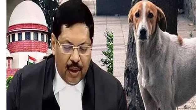 CJI : వీధి కుక్కలపై సుప్రీం తీర్పును పరిశీలిస్తాం