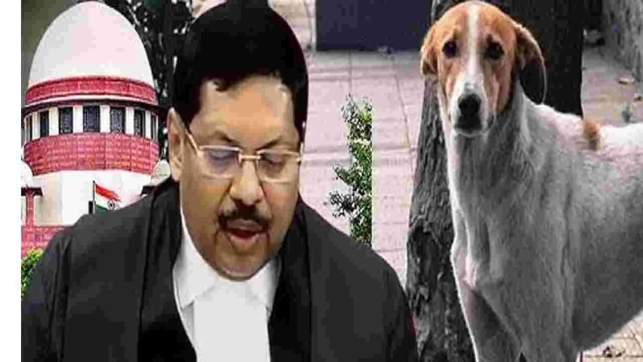 CJI : వీధి కుక్కలపై సుప్రీం తీర్పును పరిశీలిస్తాం