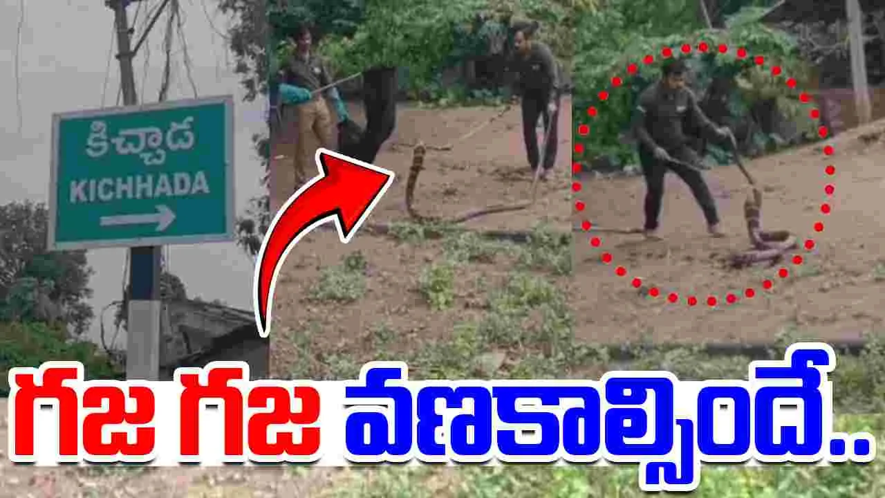 King Cobra: బాత్‌రూమ్‌లో కింగ్ కోబ్రా.. బుసలు కొడుతూ.. 