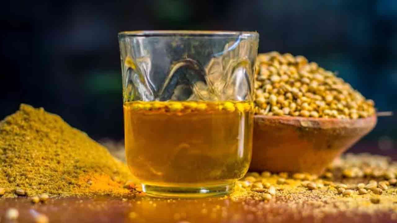 Health Tips: దనియాల నీటిని తాగడం వల్ల ఎన్ని లాభాలున్నాయో తెలుసా..