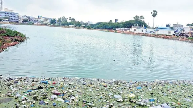 నాగులకుంటకు జల కళ