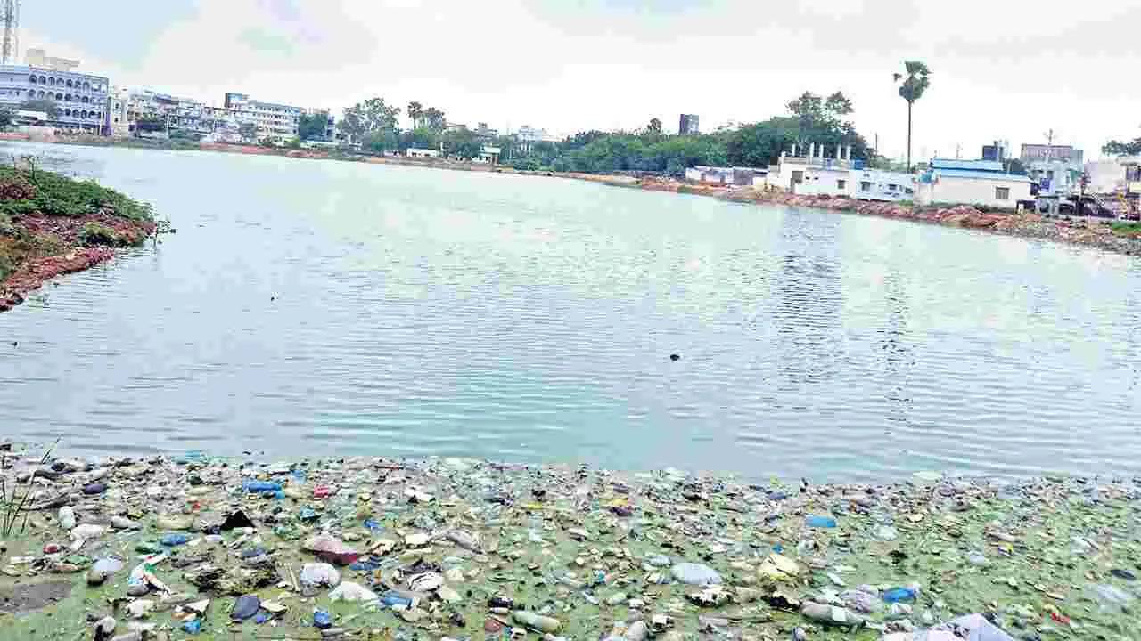 నాగులకుంటకు జల కళ