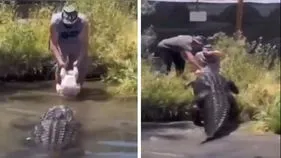 Crocodile Attack Video: వామ్మో.. మరణం అంచుల వరకు వెళ్లొచ్చాడు.. మొసలి ఏం చేసిందో చూడండి.. 