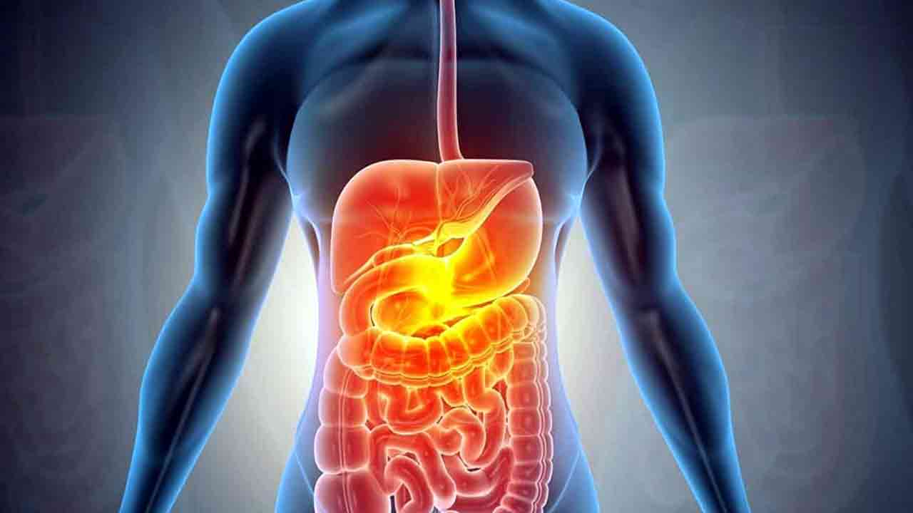 Health Tips: దనియాల నీటిని తాగడం వల్ల ఎన్ని లాభాలున్నాయో తెలుసా..