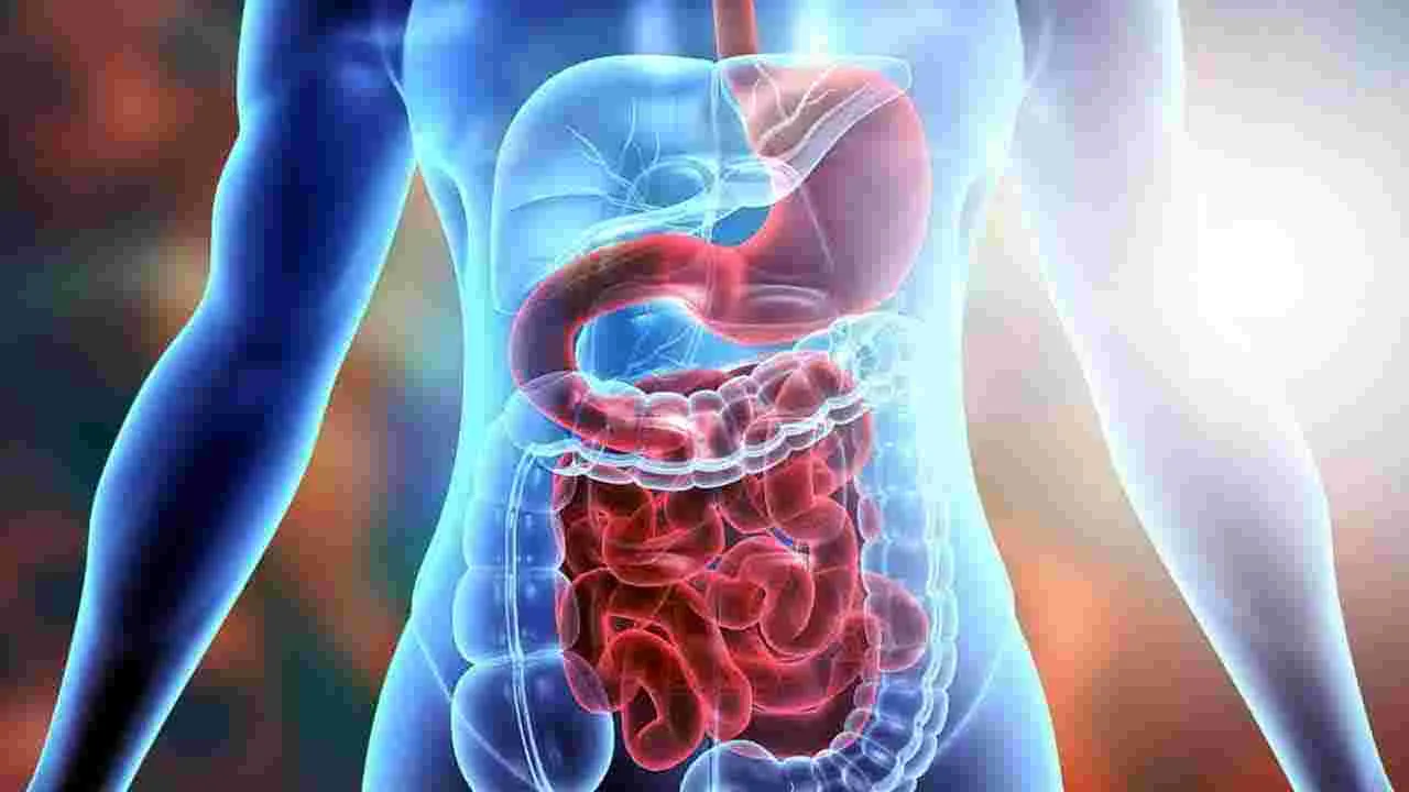 Health Tips: మొలకెత్తిన కొబ్బరి తినడం వల్ల ఏమవుతుందో తెలుసా.. 